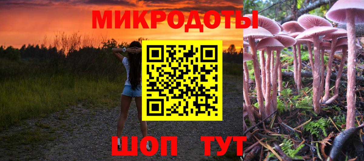 наркота  Псилоцибиновые грибы GOLDEN TEACHER  Вход с VPN  Галлюциногенные грибы прущие грибы  Новодвинск 